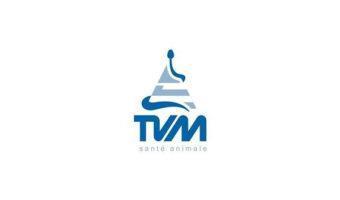 TVM